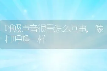 呼吸声音很重怎么回事