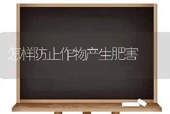 怎样防止作物产生肥害