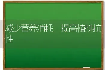 减少营养消耗 提高植株抗性