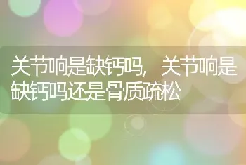 关节响是缺钙吗,关节响是缺钙吗还是骨质疏松