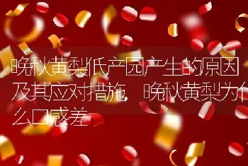 晚秋黄梨低产园产生的原因及其应对措施