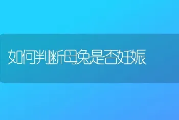 暴雨过后 猕猴桃园要防这些病害