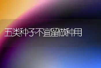 五类种子不宜留做种用