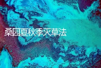 桑园夏秋季灭草法