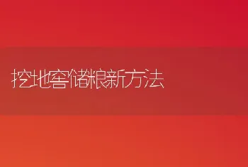 挖地窖储粮新方法