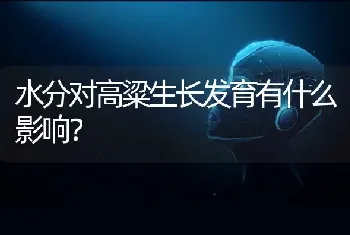 水分对高粱生长发育有什么影响?