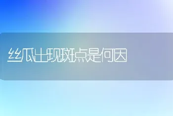 丝瓜出现斑点是何因