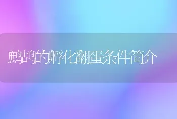 鹧鸪的孵化翻蛋条件简介