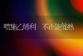 喷施乙烯利 不止能催熟