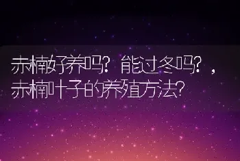 赤楠好养吗?能过冬吗?