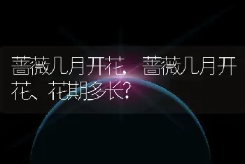 蔷薇几月开花,蔷薇几月开花、花期多长?