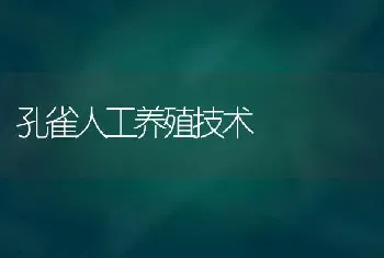 孔雀人工养殖技术