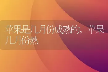 苹果是几月份成熟的