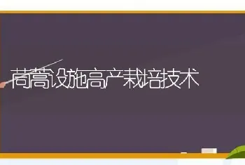 茼蒿设施高产栽培技术