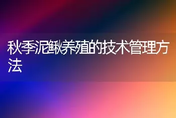 秋季泥鳅养殖的技术管理方法