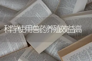 科学使用兽药养殖效益高