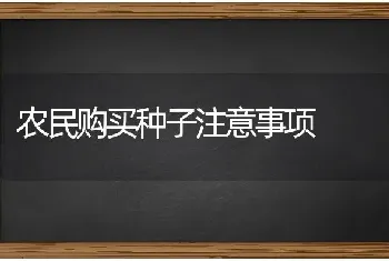 农民购买种子注意事项