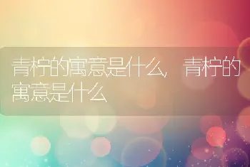 农村医保能报销多少