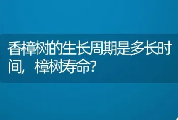 香樟树的生长周期是多长时间