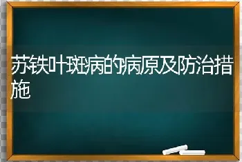 苏铁叶斑病的病原及防治措施