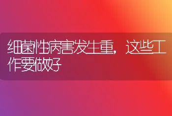 细菌性病害发生重,这些工作要做好