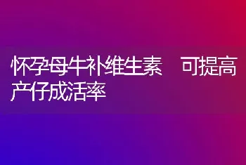 怀孕母牛补维生素 可提高产仔成活率