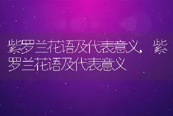 紫罗兰花语及代表意义