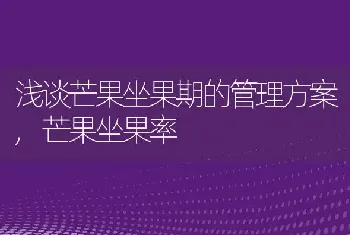 浅谈芒果坐果期的管理方案