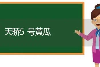 肉驴的饲养及育肥技术