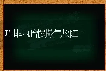 巧排内胎慢撒气故障