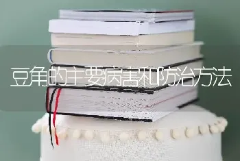 豆角的主要病害和防治方法