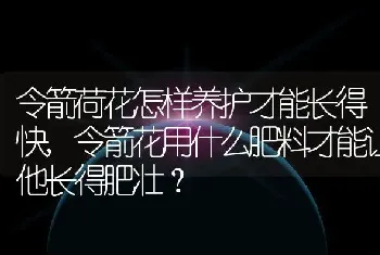 令箭荷花怎样养护才能长得快