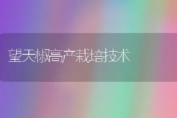 拖拉机轮胎磨损加快的原因