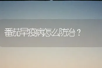 番茄早疫病怎么防治?