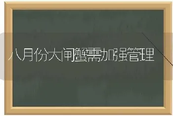 八月份大闸蟹需加强管理