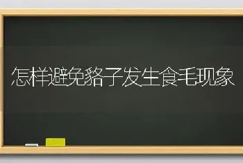 怎样避免貉子发生食毛现象