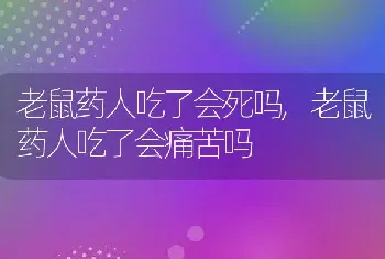 老鼠药人吃了会死吗