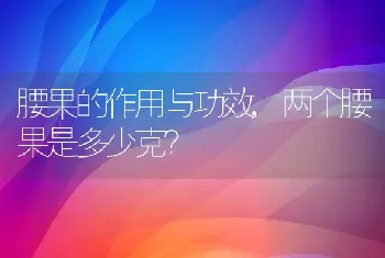 腰果的作用与功效