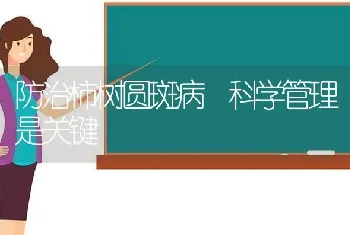 防治柿树圆斑病 科学管理是关键