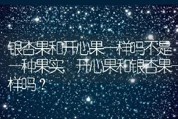 银杏果和开心果一样吗不是一种果实