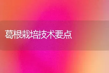 葛根栽培技术要点