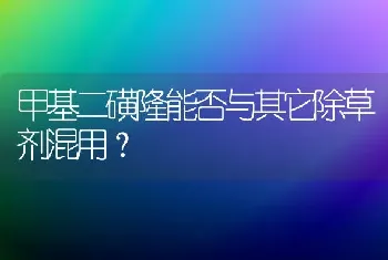 甲基二磺隆能否与其它除草剂混用?