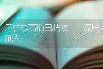 怎样提高稻田肥效——深层施入