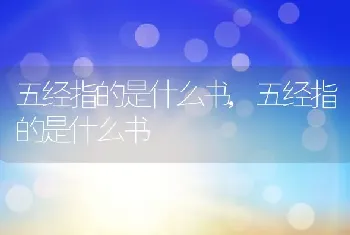 五经指的是什么书