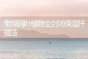 常绿阔叶植物全封闭保湿扦插法