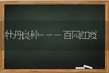 温室大棚作业新机具--KYJ-1型园艺带式捆扎机