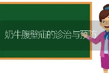 奶牛腹壁疝的诊治与预防