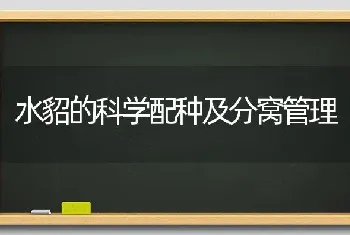 水貂的科学配种及分窝管理