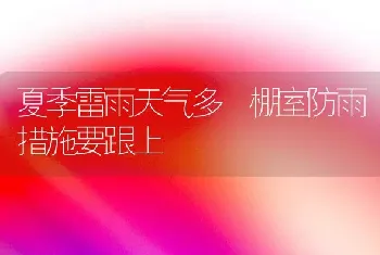 夏季雷雨天气多 棚室防雨措施要跟上