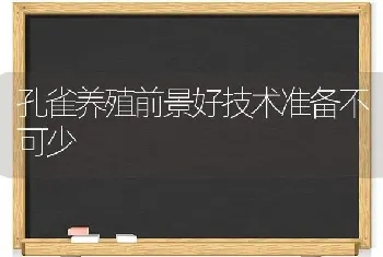 孔雀养殖前景好技术准备不可少